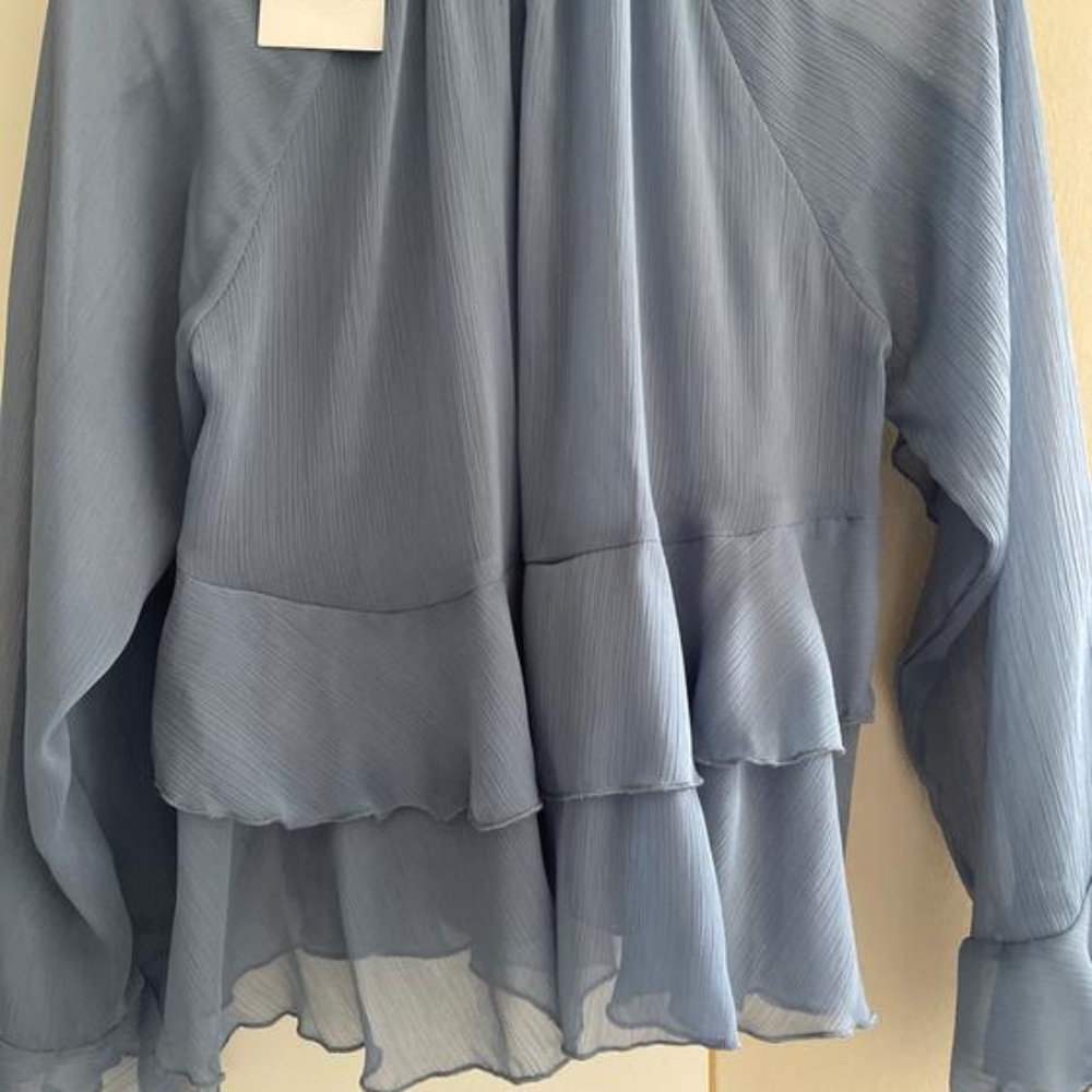 Blue Ruffled Blouse - Picture 3 of 3